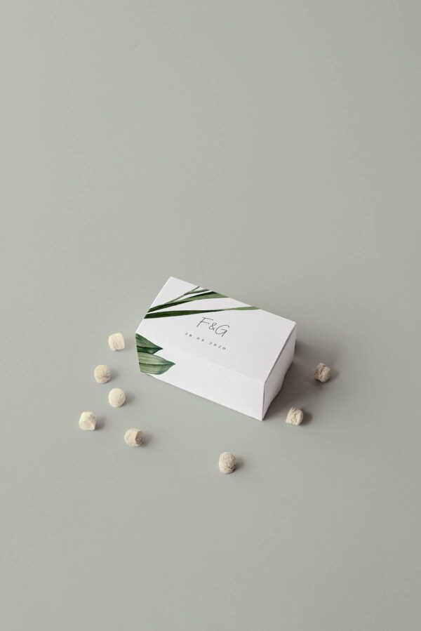 Botanico Scatola Fiamiferi Mockup Retro