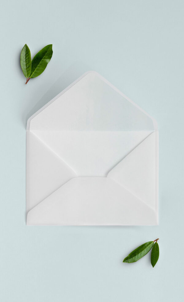 Busta Liner 13x18 Vellum Aperta Acquerello