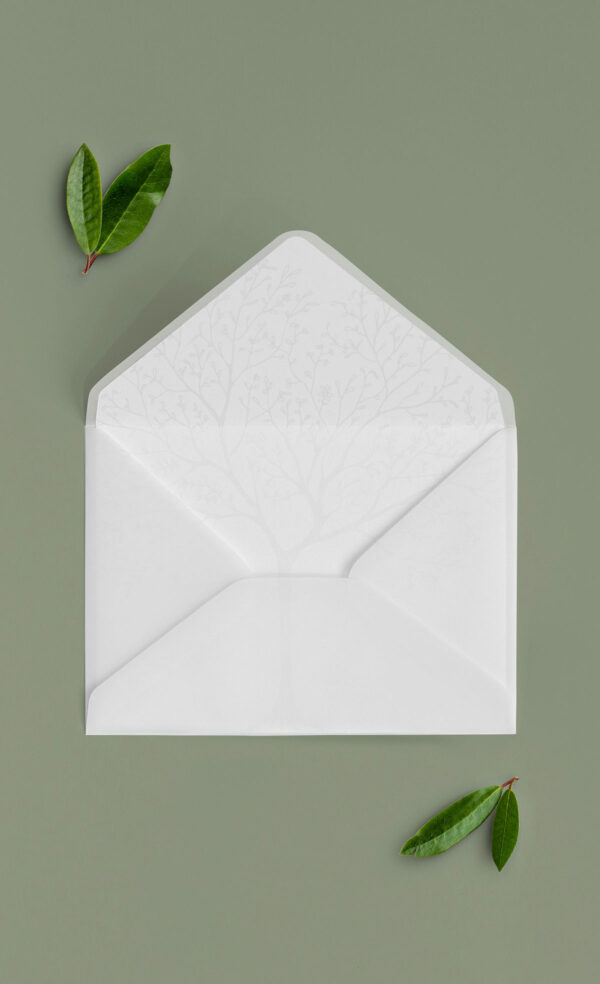 Busta Liner 13x18 Vellum Aperta Albero Della Vita