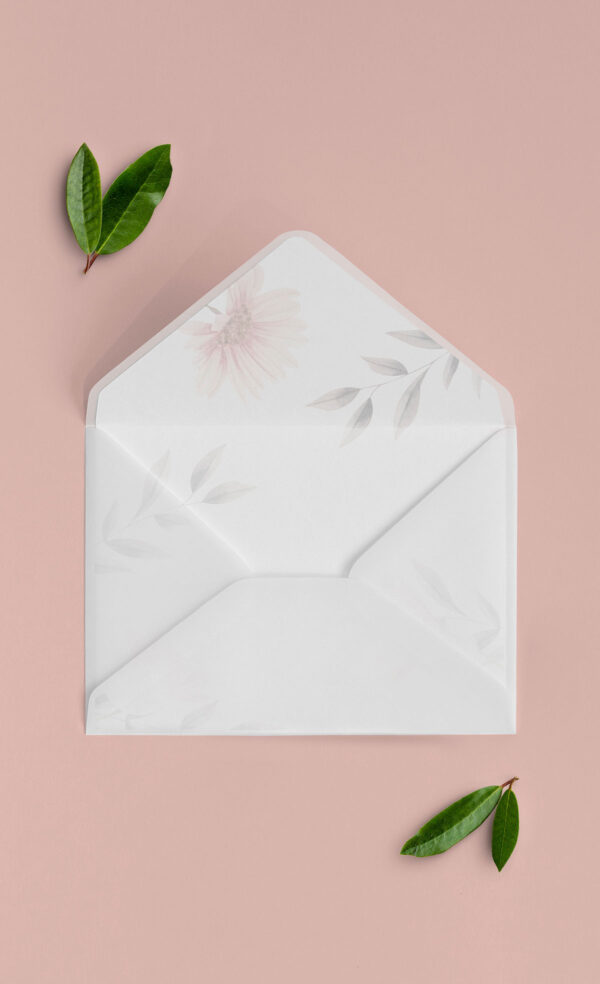 Busta Liner 13x18 Vellum Aperta Blush