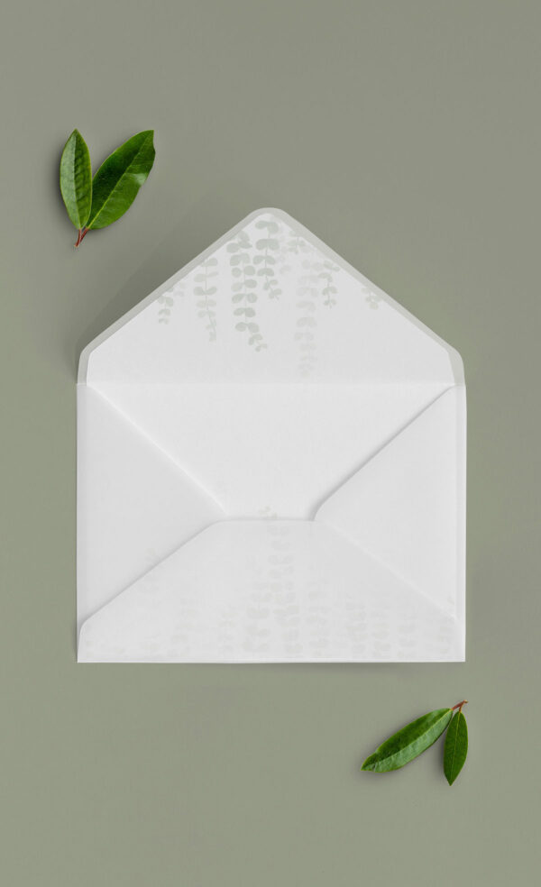 Busta Liner 13x18 Vellum Aperta Edera