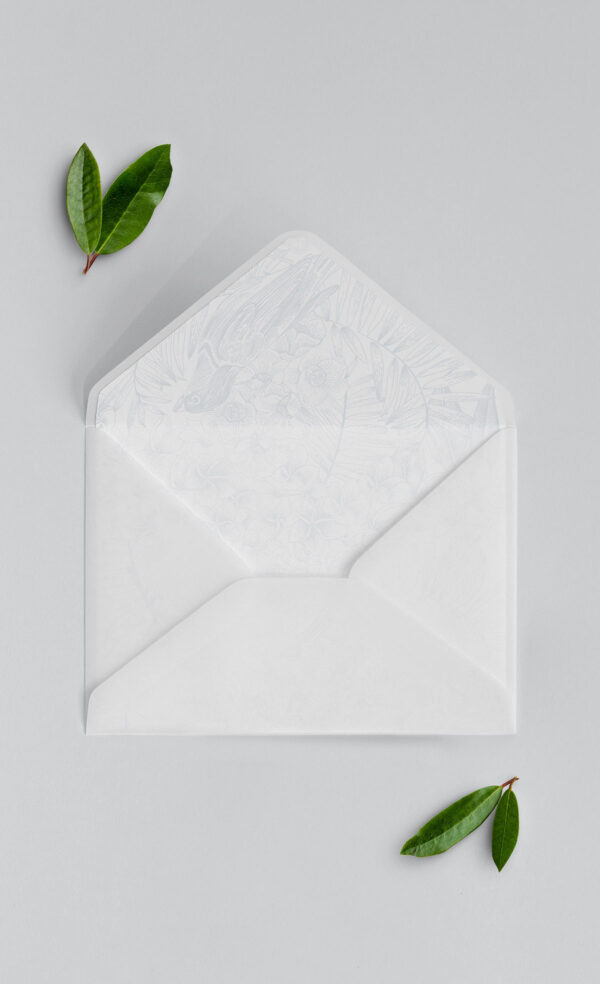 Busta Liner 13x18 Vellum Aperta Lilibet Azzurrino