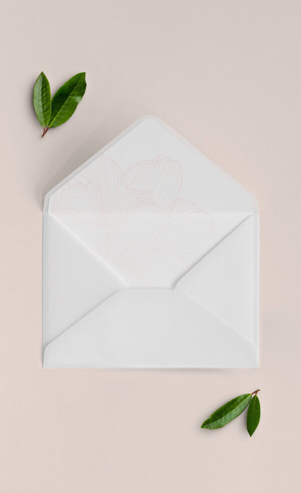 Busta Liner 13x18 Vellum Aperta New Elegance