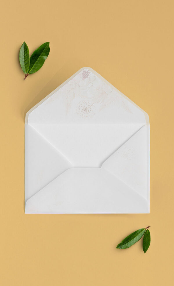 Busta Liner 13x18 Vellum Aperta Pampas