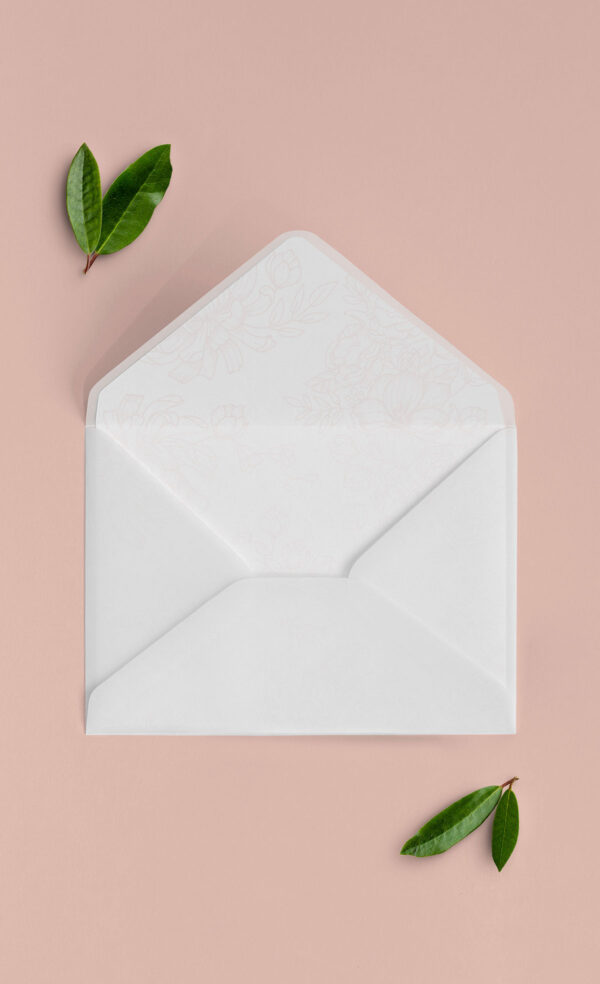 Busta Liner 13x18 Vellum Aperta Provenza