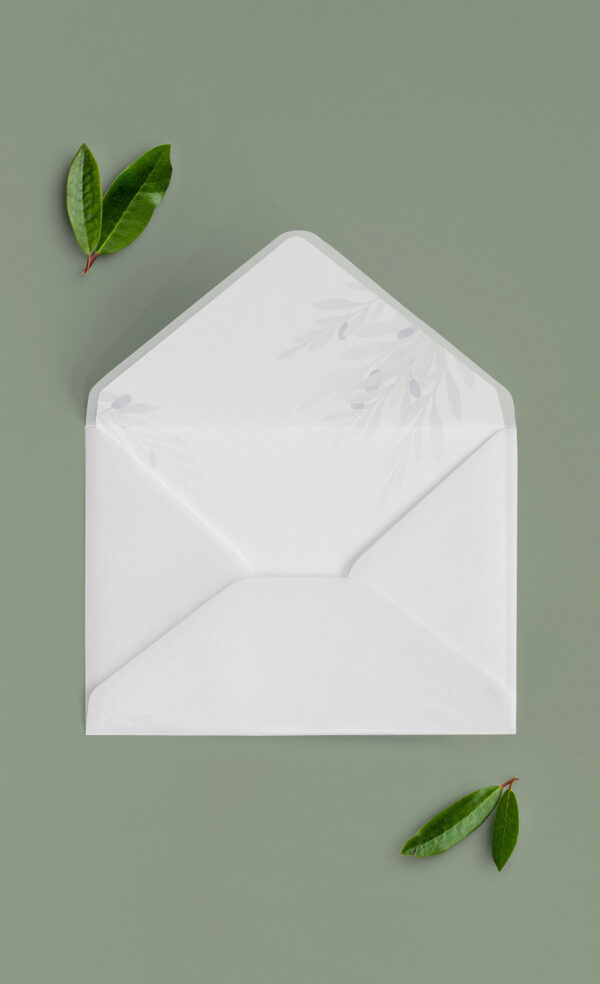 Busta Liner 13x18 Vellum Aperta Ulivo