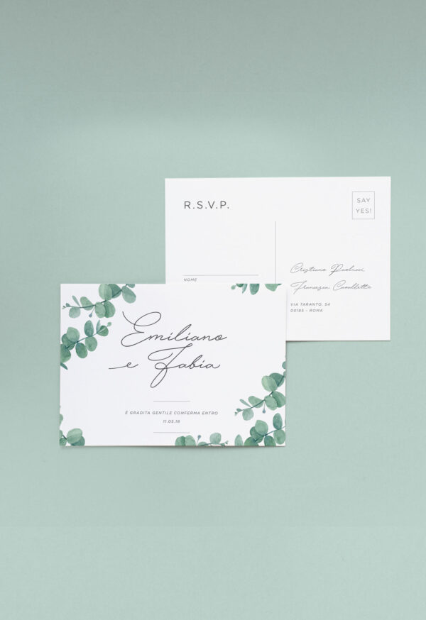 eucalipto RSVP F