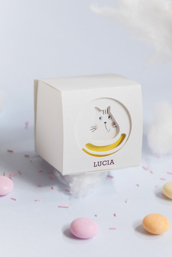 paper box 2025 gattino lucia