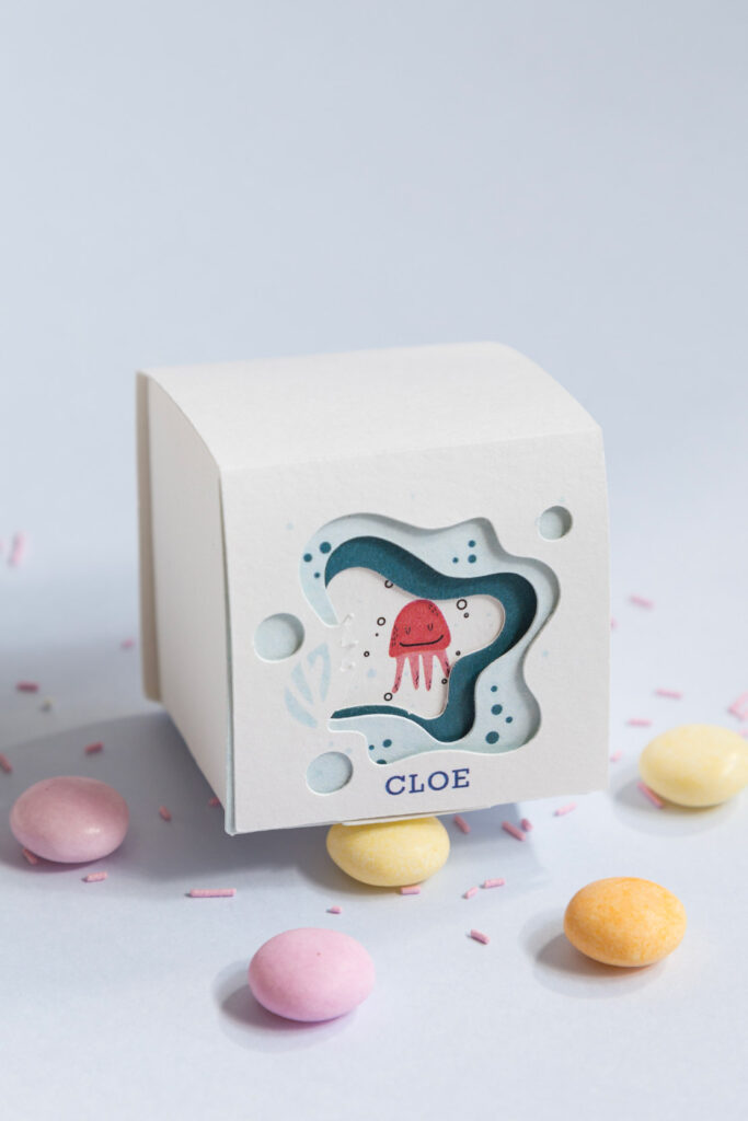 paper box 2025 medusa cloe