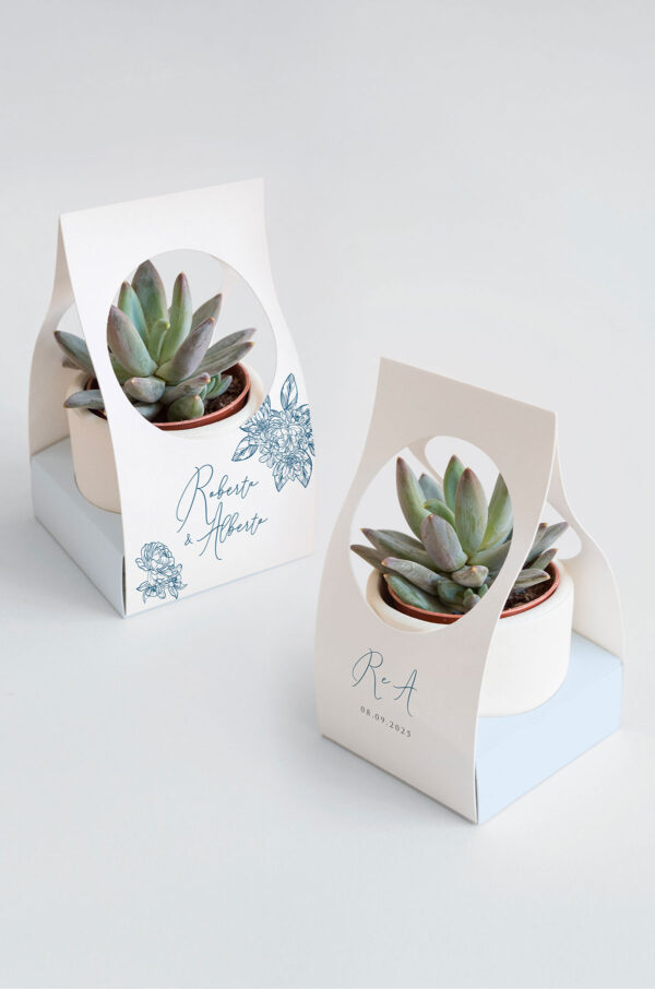 Blu vintage Scatolina pianta