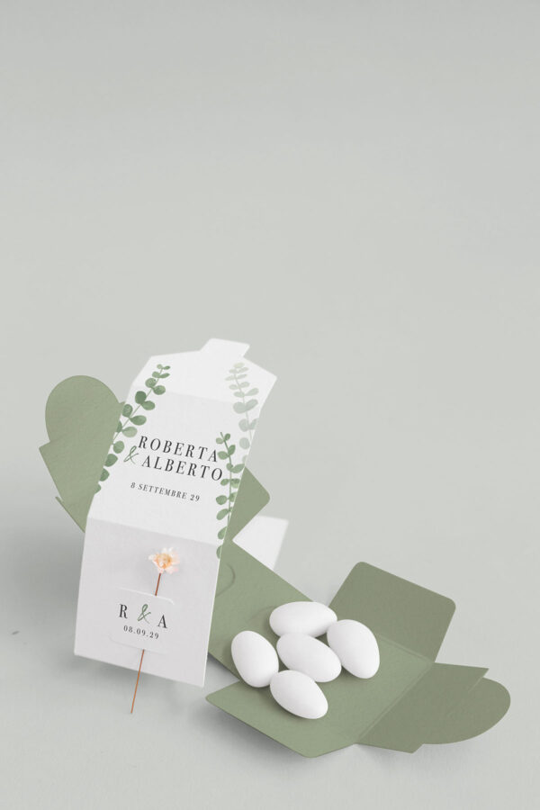 Edera Scatolina Flora open