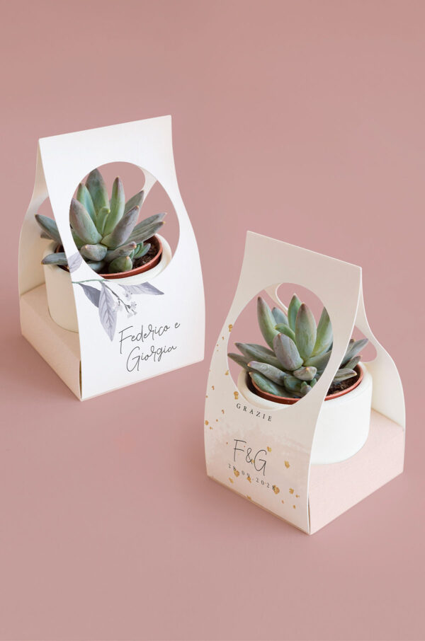 rose gold Scatolina pianta