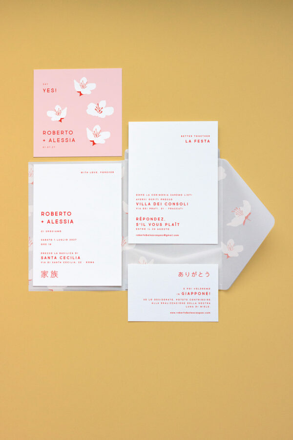 Pocket Fold Trasparente Midori