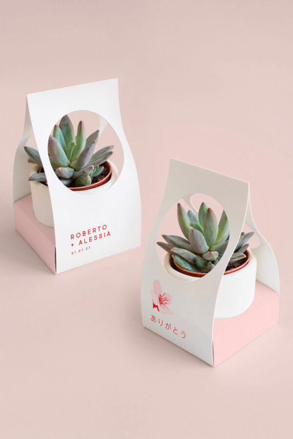 Scatolina per Piantina Personalizzata Midori