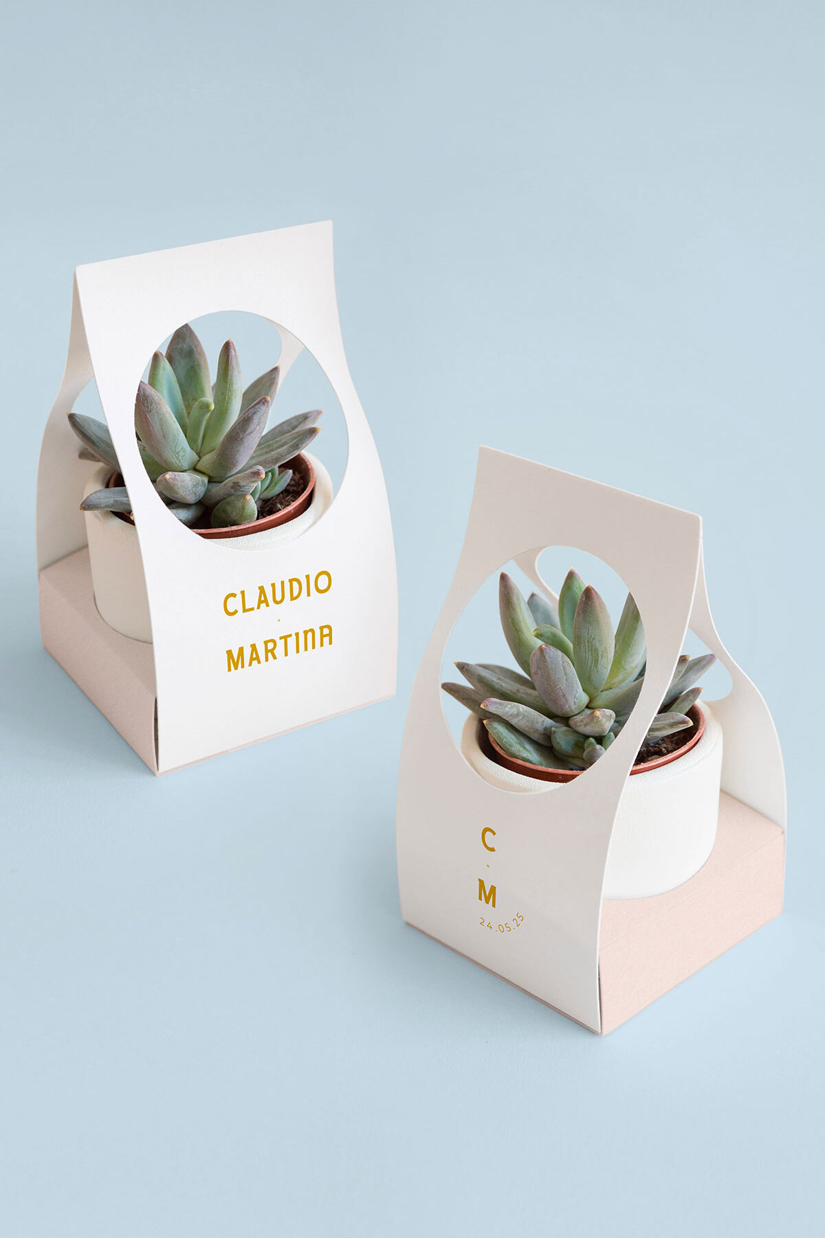 Scatolina per Piantina Personalizzata Bliss