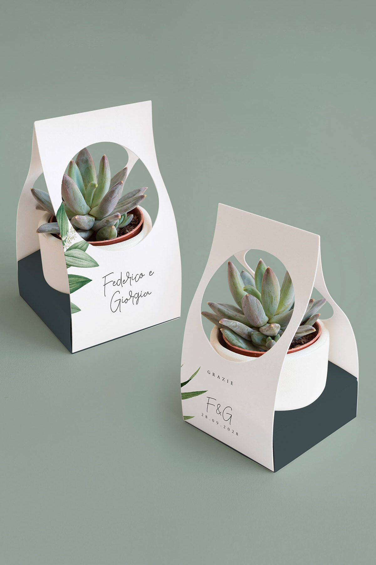 Scatolina per Piantina Personalizzata Botanico