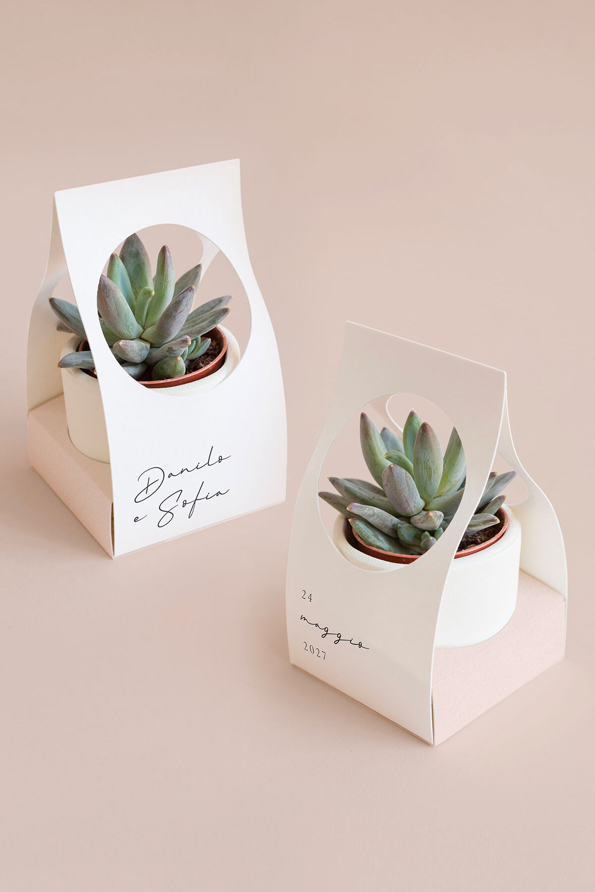 Scatolina per Piantina Personalizzata Dear Diary