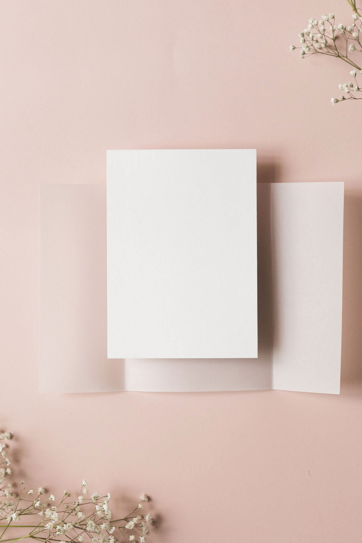 Kit Cofanetto Vellum E Partecipazione Vuota