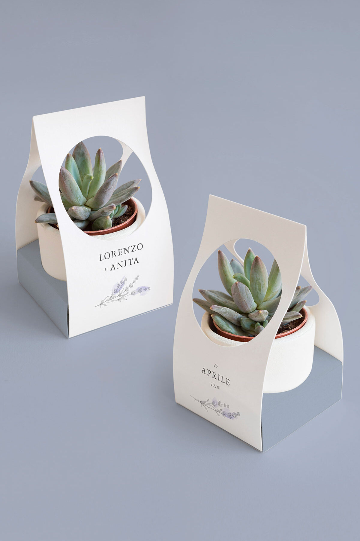 Scatolina per Piantina Personalizzata Lavanda