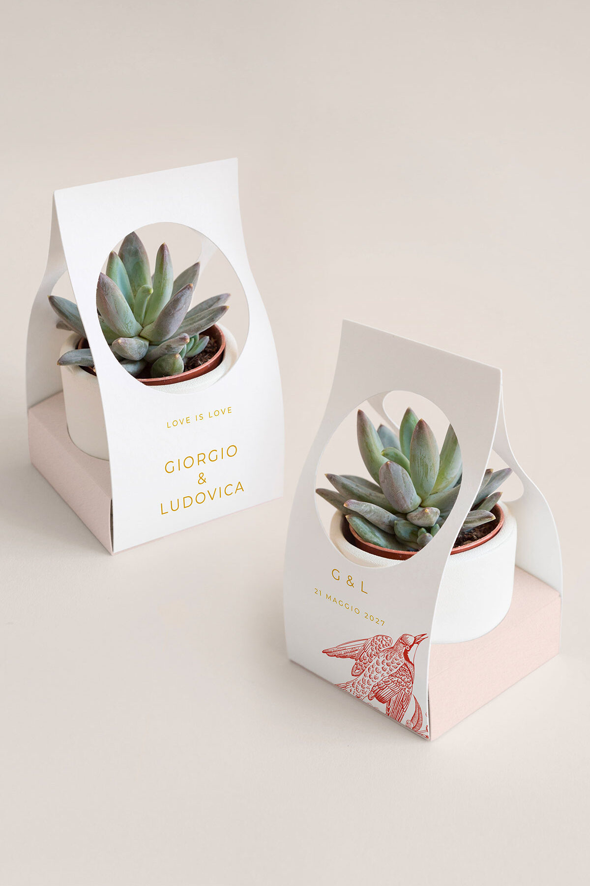 Scatolina per Piantina Personalizzata Lilibet