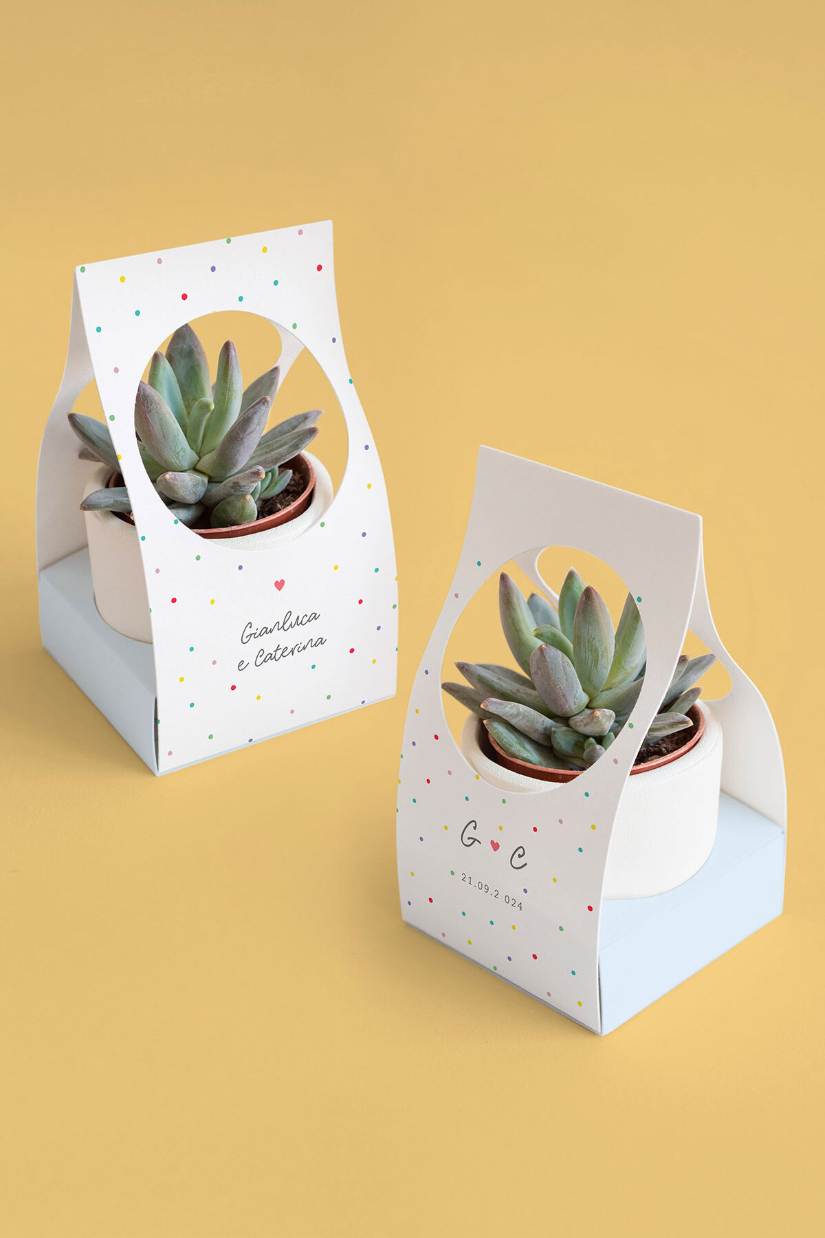 Scatolina per Piantina Personalizzata Polaroid