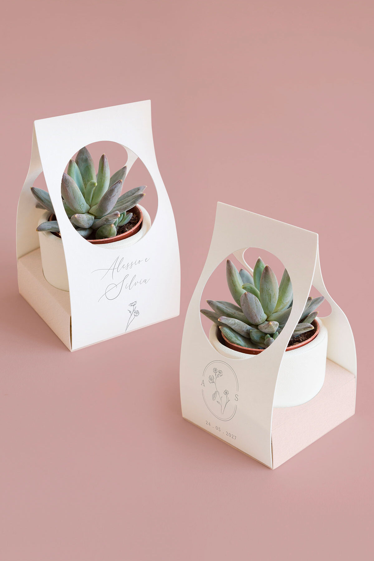 Scatolina per Piantina Personalizzata Primrose
