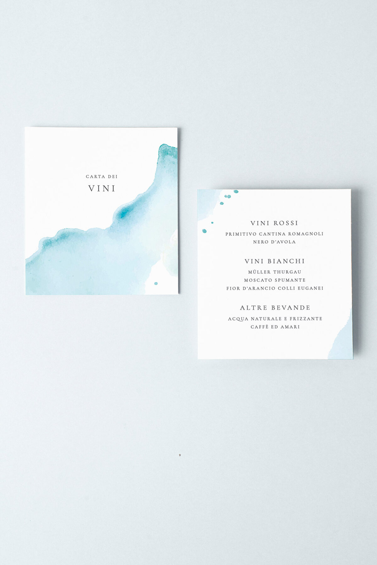 Menu Carta dei Vini Spiaggia