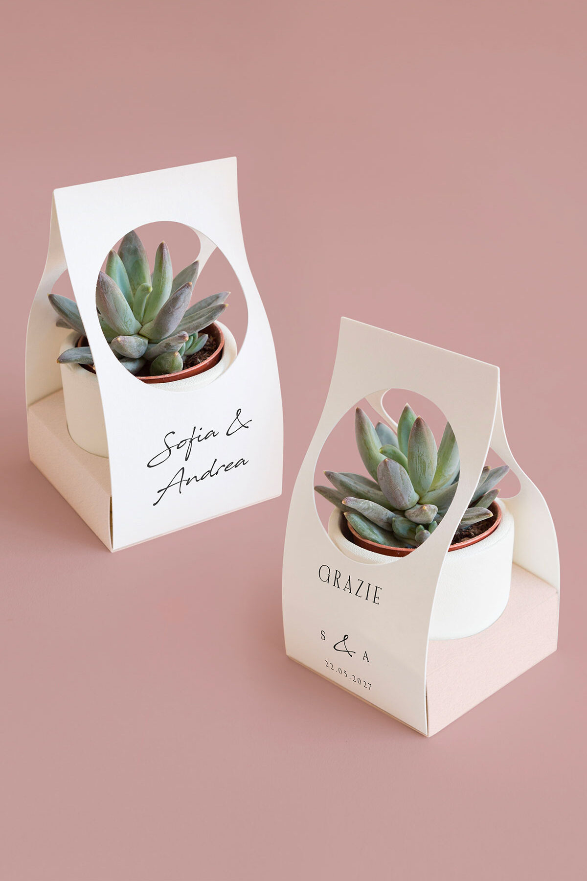 Scatolina per Piantina Personalizzata Times New Romance