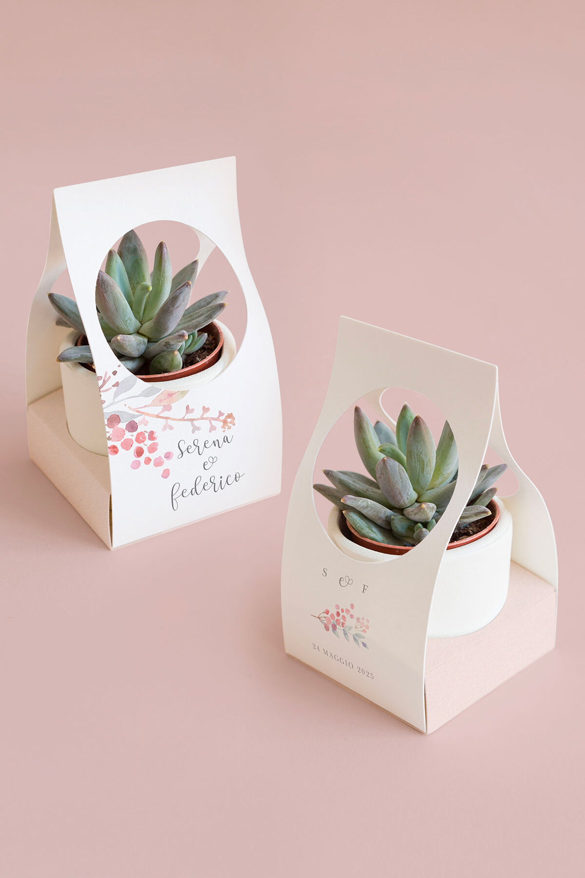 Scatolina per Piantina Personalizzata Bloom